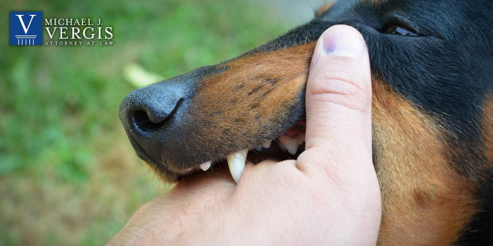 Lesiones por mordedura de perro